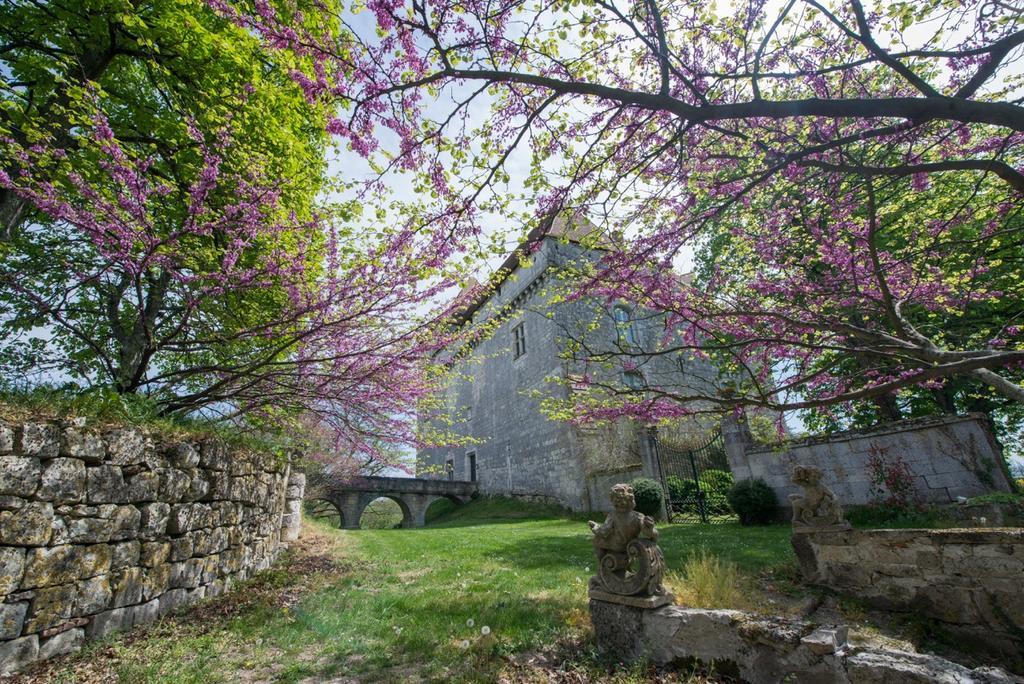 Chateau De Goudourville Exterior photo