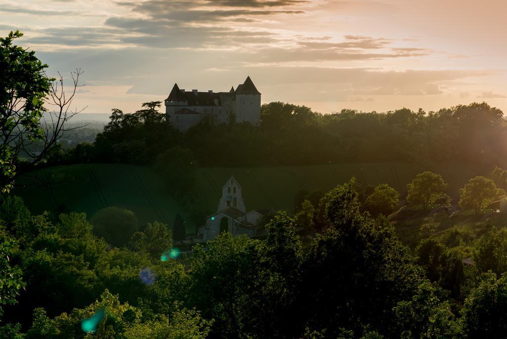 Chateau De Goudourville Exterior photo