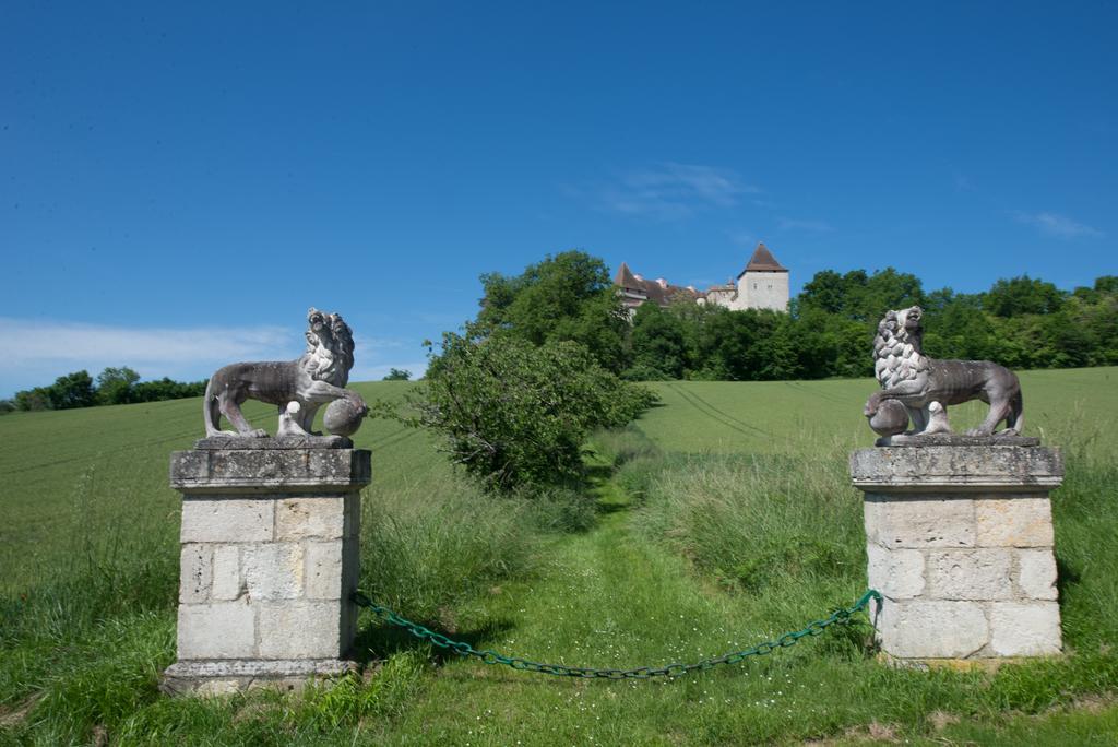 Chateau De Goudourville Exterior photo